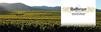 Wolfberger - Grands vins - Crémants & Eaux-de-vie d'Alsace